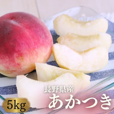 桃 あかつき(長野県産秀品)5kg【2026年7月中旬～8月中旬頃発送予定】 2026年先行受付