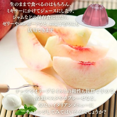 桃 あかつき(長野県産秀品)5kg【2026年7月中旬～8月中旬頃発送予定】 2026年先行受付