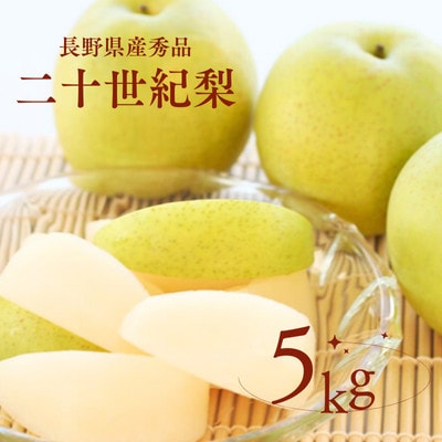 梨 二十世紀(長野県産秀品)5kg【2026年9月上旬～9月下旬頃発送予定】
