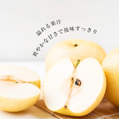 梨 二十世紀(長野県産秀品)5kg【2026年9月上旬～9月下旬頃発送予定】