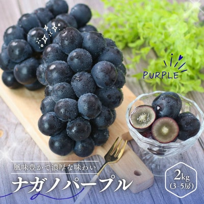 ぶどう ナガノパープル(長野県産秀品)2kg【2026年8月下旬～10月上旬頃発送予定】