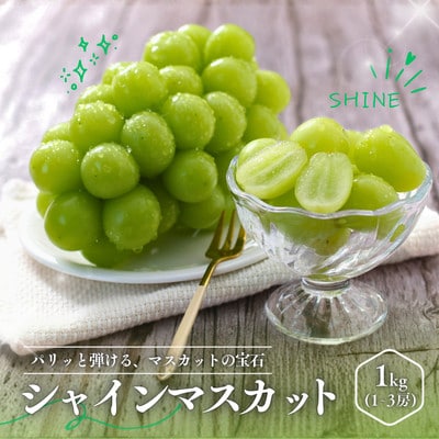 ぶどう シャインマスカット(長野県産秀品)1kg【2026年9月下旬～11月上旬頃発送予定】