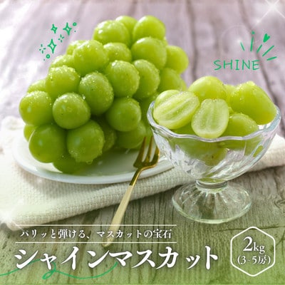 ぶどう シャインマスカット(長野県産秀品)2kg【2026年9月下旬～11月上旬頃発送予定】
