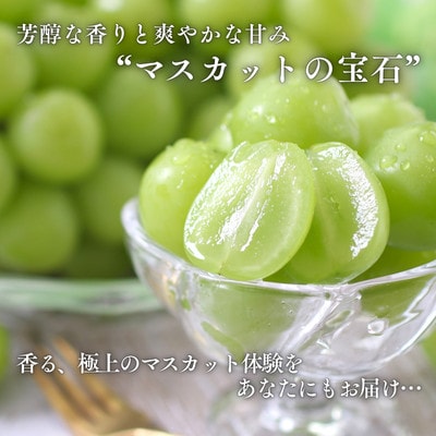 ぶどう シャインマスカット(長野県産秀品)2kg【2026年9月下旬～11月上旬頃発送予定】