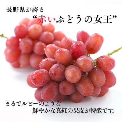 ぶどう クイーンルージュ(長野県産秀品)1kg【2026年10月中旬～11月上旬頃発送予定】