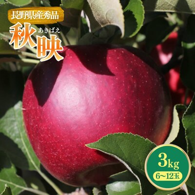 りんご 秋映(長野県産秀品)3kg【2026年9月下旬～10月中旬頃発送予定】