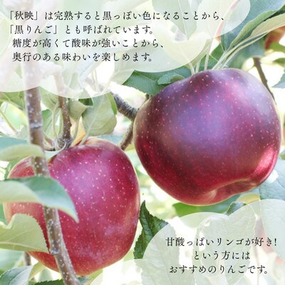 りんご 秋映(長野県産秀品)3kg【2026年9月下旬～10月中旬頃発送予定】