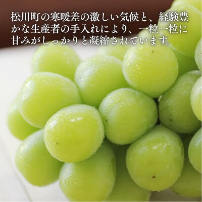 ぶどう 氷温貯蔵シャインマスカット(秀品)1kg【2026年11月中旬～12月下旬頃発送予定】