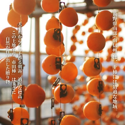 市田柿(ご自宅用)170g×3袋【2026年1月上旬～2月下旬頃発送予定】MS43