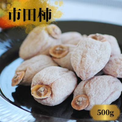 市田柿(ご自宅用)柿実500g【2026年1月上旬～2月下旬頃発送予定】MS44