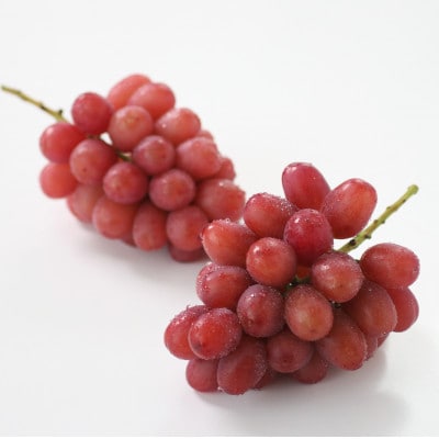 ぶどう クイーンルージュ(長野県産秀品)約2kg【2026年10月中旬～11月上旬頃発送予定】