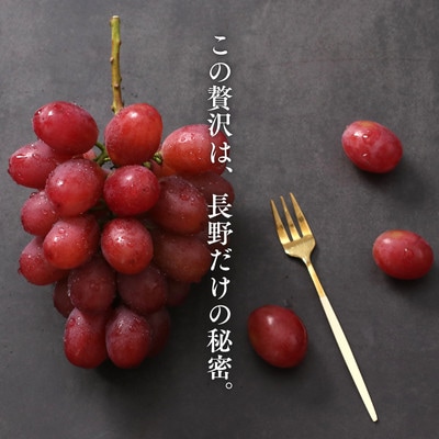 ぶどう クイーンルージュ(長野県産秀品)約2kg【2026年10月中旬～11月上旬頃発送予定】