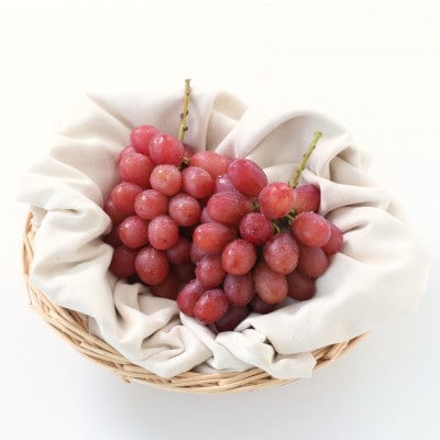 ぶどう クイーンルージュ(長野県産秀品)約2kg【2026年10月中旬～11月上旬頃発送予定】