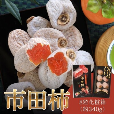【南信州産】市田柿　化粧箱　大粒厳選8粒 JA41