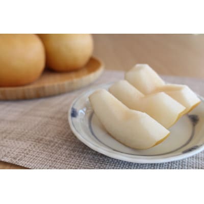 南信州産 梨 南水 訳あり 約5kg A秀　9月上旬より順次発送　JA45