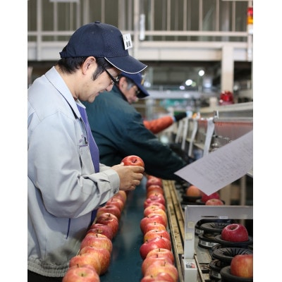 【南信州産】　サンふじ　秀品　約2.5kg　8～10玉　11月下旬～順次発送