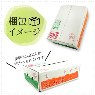 【南信州産】　サンふじ　秀品　約2.5kg　8～10玉　11月下旬～順次発送