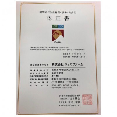 ノウフク サンふじ 家庭用 約3kg/【11～12月発送】 長野県 南信州 WF09-23A