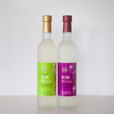 りんごワイン2本セット 王林&amp;秋映 各500ml