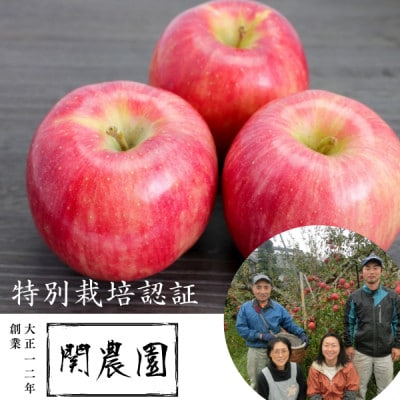創業100年!関農園の特別栽培認証シナノドルチェ 約5kg 長野県 南信州 SN01-23A