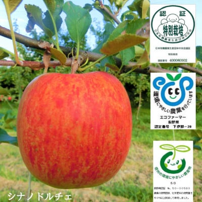 創業100年!関農園の特別栽培認証シナノドルチェ 約5kg 長野県 南信州 SN01-23A