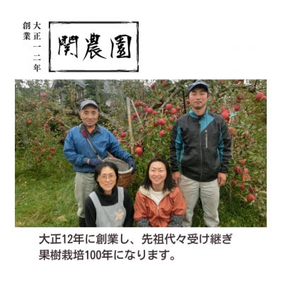 創業100年!関農園の特別栽培認証シナノドルチェ 約5kg 長野県 南信州 SN01-23A