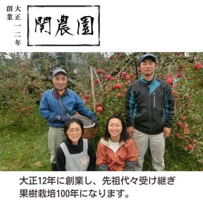 創業100年!関農園の特別栽培認証 シナノゴールド 約5kg 長野県 南信州  SN04