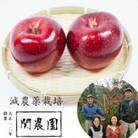 創業100年!関農園の栽培期間中農薬を減らして栽培したシナノホッペ 約5kg SN05