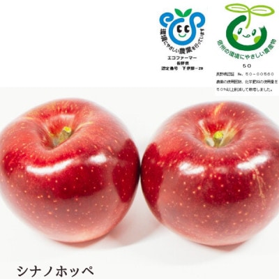 創業100年!関農園の栽培期間中農薬を減らして栽培したシナノホッペ 約5kg SN05