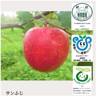 創業100年!関農園の特別栽培認証サンふじ 約5kg 秀品 長野県 南 創業100年!関農園の特別栽培認証サンふじ 約5kg 秀品 長野県 南