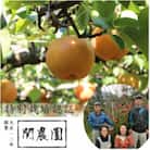 創業100年!関農園の特別栽培認証 南水 約5kg 秀品 長野県 南信州 SN07-23A