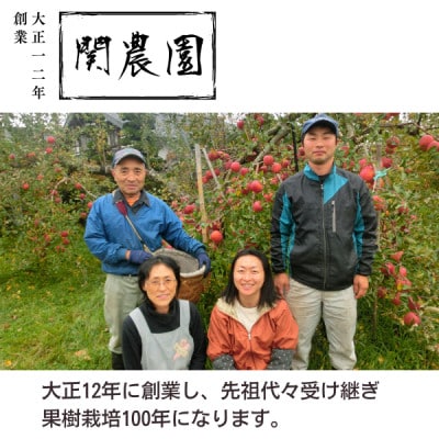 特別栽培認証 りんご シナノリップ 約3kg 秀品 [8月中旬～下旬頃発送予定]