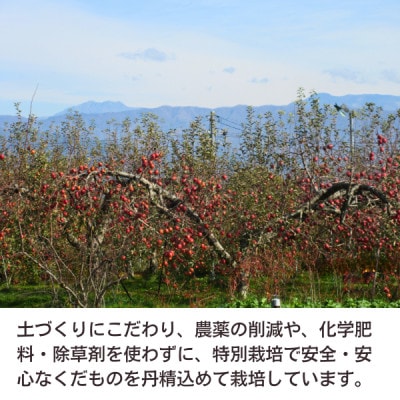 特別栽培認証 りんご シナノリップ 約3kg 秀品 [8月中旬～下旬頃発送予定]