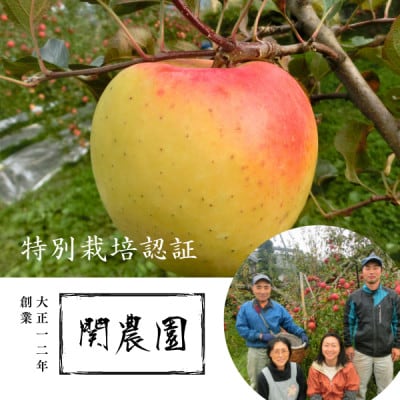 特別栽培認証 りんご ぐんま名月 約5kg 秀品 [11月上旬～中旬頃発送予定]