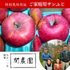 特別栽培認証 りんご サンふじ【家庭用】約5kg 訳あり [12月上旬～下旬頃発送予定]