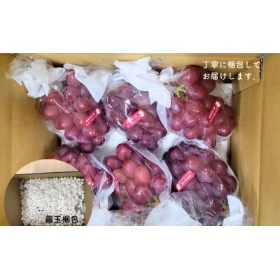 クイーンルージュ(R)  約2kg TK08
