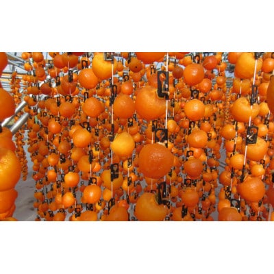 市田柿 家庭用 約1kg (500g×2袋)TK12