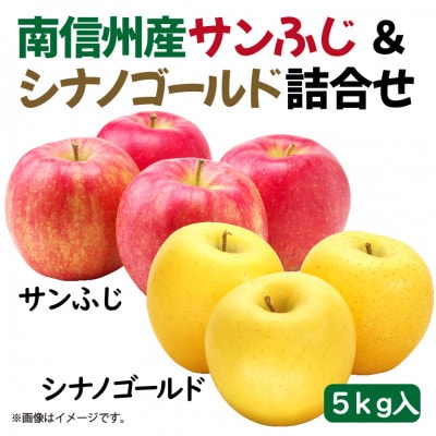 【2025年度先行予約】南信州で育ったサンふじ&シナノゴールド食べ比べセット 5kg箱