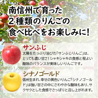 【2025年度先行予約】南信州で育ったサンふじ&シナノゴールド食べ比べセット 5kg箱