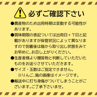 【2025年度先行予約】南信州で育ったサンふじ&シナノゴールド食べ比べセット 5kg箱