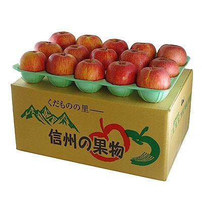 【松川町】サンふじりんご 10kg箱(贈答用)【12月中旬より出荷予定】