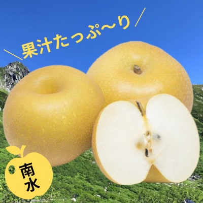 【信州松川町産】南水5kg (10月上旬～10月中旬発送開始予定)
