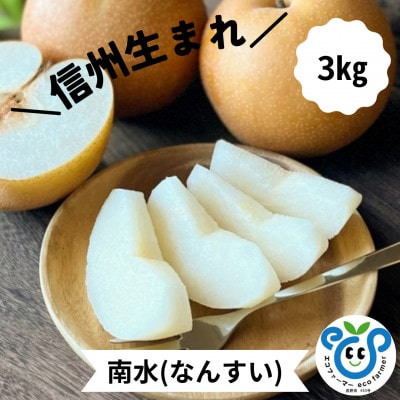 【信州松川町産】 南水 約3kg 栽培期間中農薬を極力減らし栽培 エコファーマー認証 HF06