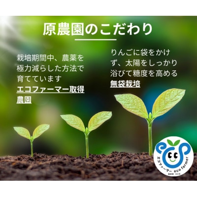 【信州松川町産】 南水 約3kg 栽培期間中農薬を極力減らし栽培 エコファーマー認証 HF06