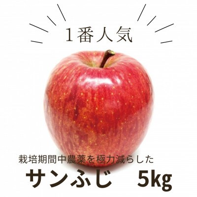 【信州松川町産】サンふじ 5kg 栽培期間中農薬を極力減らし栽培 エコファーマー認証 HF12