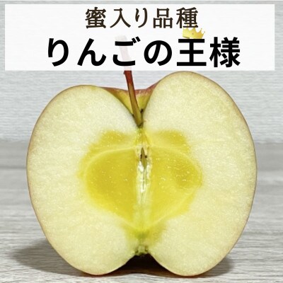 【信州松川町産】サンふじ 5kg 栽培期間中農薬を極力減らし栽培 エコファーマー認証 HF12