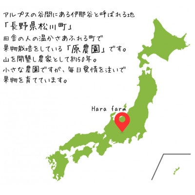 【長野県松川町産】サンふじ100%りんごジュース 1L×6本セット (ストレート)