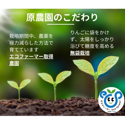 農家のすりおろしりんご・和梨ジュースセット　720ml×2本