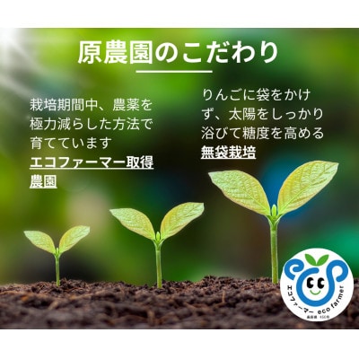 農家の洋梨・和梨ジュースセット　720ml×2本