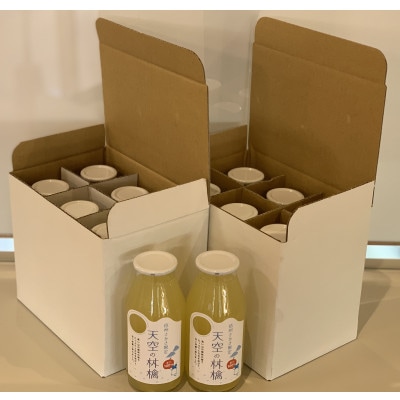坂城町産りんご　信州さかき　「天空の林檎」　果汁100%りんごジュース　180ml×12本入り
